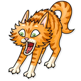 😱 แมว, สีส้ม, กลัว, สัตว์, สัตว์ตระกูลแมว, การ์ตูน, สติกเกอร์ whatsapp sticker