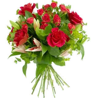 🌹 buquê, flores, rosas, vermelho, verde, lírios, floral, presente telegram sticker