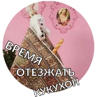 😁 ВРЕМЯ
ОТЕЗЖАТЬ
КУКУХОЙ whatsapp sticker