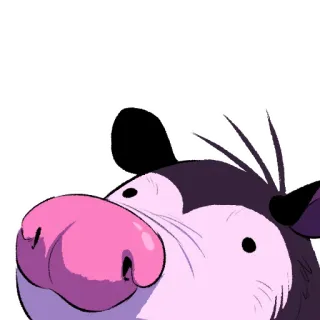👃 opossum, cartoon, animal, cute, funny whatsapp sticker