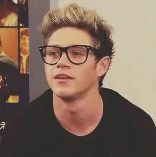 ✨ Niall Horan ไนออล ฮอแรน, นักร้อง, คนดัง, แว่นตา, One Direction telegram sticker