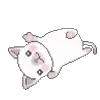 🐱