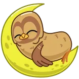 💤 coruja, lua, sono, fofo, desenho animado, animal, pássaro, noite whatsapp sticker