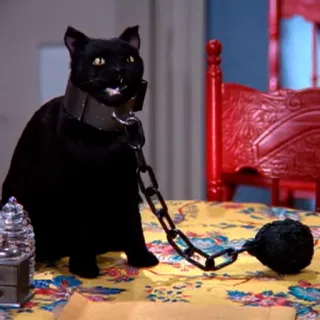 🖇 black cat, ball and chain, animal, domestic animal, cat telegram sticker