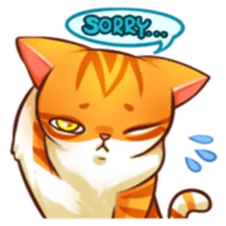 😔 SORRY... kat, schattig, sorry, excuses, dier, oranje, cartoon telegram sticker