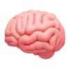 🧠