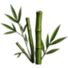 🥥