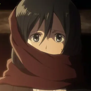 🗡 Mikasa Ackerman Attack on Titan anime, attack on titan, mikasa, mikasa ackerman, manga, scarf, character telegram sticker