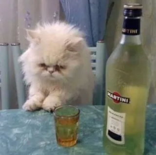 😩 MARTINI cat, martini, alcohol, drink, pet, funny whatsapp sticker