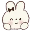 🐰