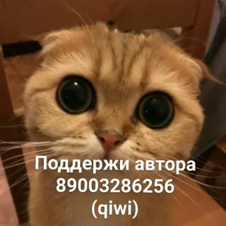 Эщкере telegram stickers