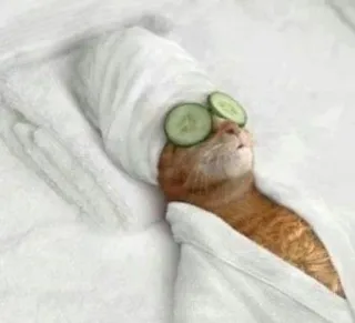 🌟 chat, spa, relaxation, concombre, serviette, animal de compagnie, animal, bien-être whatsapp sticker
