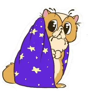 😁 gatto, carino, stelle, coperta, animale, adesivo telegram sticker