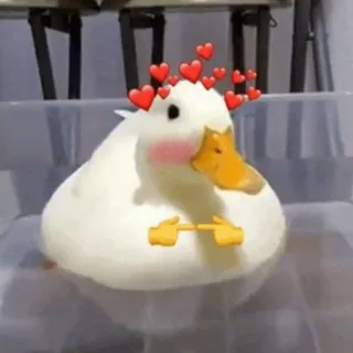 🥰 pato, fofo, corações, amor, animal telegram sticker
