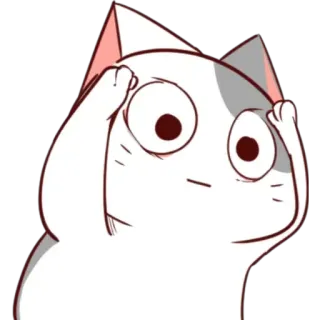 👀 mèo, hoạt hình, sốc, ngạc nhiên, Meme, hài hước, động vật telegram sticker