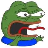 🥵 Pepe the Frog pepe, กบ, มีม, อินเทอร์เน็ต, ปฏิกิริยา telegram sticker