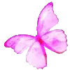 🦋