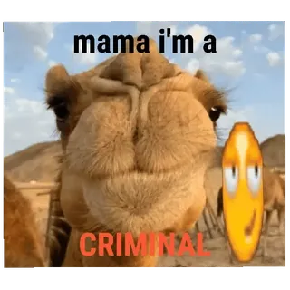 👍 mama i'm a CRIMINAL telegram sticker