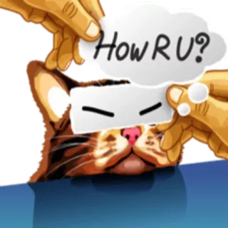 Meme The Cat whatsapp stickers