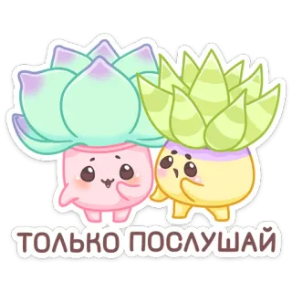 🪴 ТОЛЬКО ПОСЛУШАЙ суккулент, растение, милый, каваий, мультфильм whatsapp sticker
