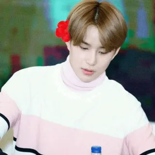 🍧 whatsapp sticker
