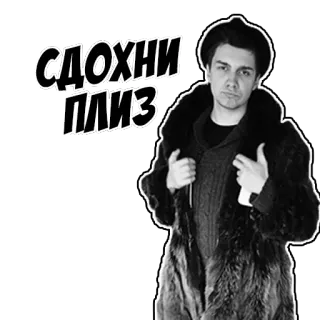 🏡 СДОХНИ ПЛИЗ русский, текст, пальто, зима, шапка, мужчина telegram sticker