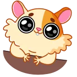😏 criceto, carino, animale, animale domestico, roditore telegram sticker