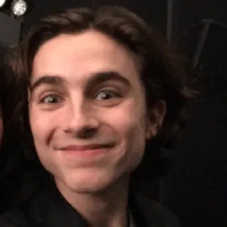 😊 Timothée Chalamet актер, портрет, знаменитость, фотография головы whatsapp sticker