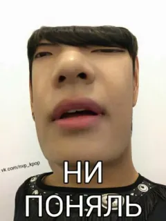 🙃 НИ ПОНЯЛЬ kpop, mem, śmieszne, rosyjski telegram sticker