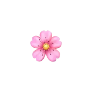 🌸 flower, pink, cherry blossom, floral, nature telegram sticker