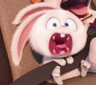😱 Snowball The Secret Life of Pets coelho, bravo, animal de estimação, desenho animado, animal, expressão, fofo whatsapp sticker