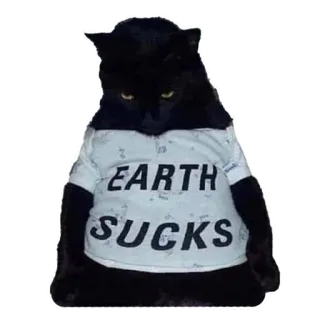 🤕 EARTH SUCKS chat, autocollant, mème, terre, naze telegram sticker