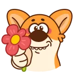 chpic.su • @Premium_Emojis_Telegram | Коржик telegram emojis 🌺