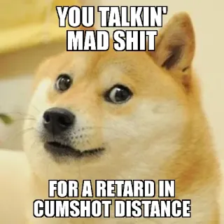 💦 YOU TALKIN' MAD SHIT FOR A RETARD IN CUMSHOT DISTANCE doge, meme, offensive, insult, humor, joke whatsapp sticker