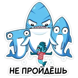 😡 НЕ ПРОЙДЁШЬ サメ, 漫画, 魚, ハンマーヘッド, 海の生き物, 動物, ロシア語, テキスト telegram sticker