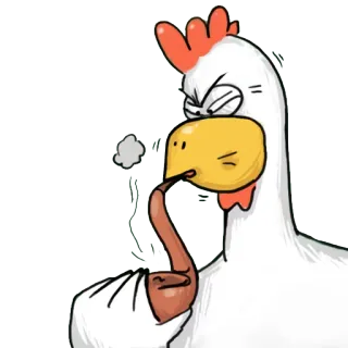 🐔 ไก่, สัตว์, นก, สูบบุหรี่, ไปป์, การ์ตูน, ตลก, ขำ telegram sticker