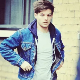 🌶 Louis Tomlinson célébrité, personne, chanteur, louis tomlinson telegram sticker