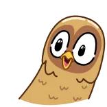😳 coruja, pássaro, desenho animado, animal, fofo, adesivo whatsapp sticker