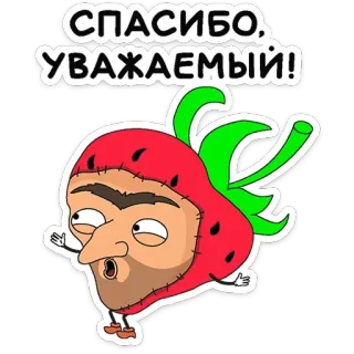 👃 СПАСИБО, УВАЖАЕМЫЙ! thank you, strawberry, cartoon, character, funny, greeting, positive telegram sticker