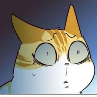 😢 고양이, 고양이과, 동물, 만화, 충격, 놀람 telegram sticker