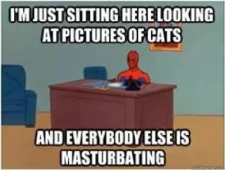 🐱 Spider-Man I'M JUST SITTING HERE LOOKING AT PICTURES OF CATS AND EVERYBODY ELSE IS MASTURBATING spider-man, cat pictures, meme, sitting, office telegram sticker