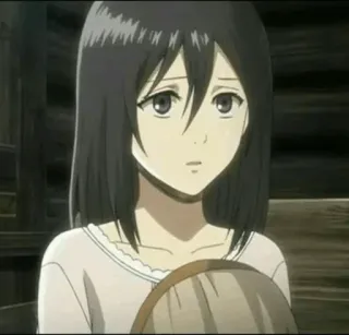 🤫 Mikasa Ackerman Attack on Titan anime, mikasa, attack on titan, character, girl telegram sticker