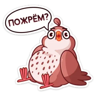 😀 ПОЖРЁМ? bird, sticker, cartoon, cute, animal, funny, russian telegram sticker