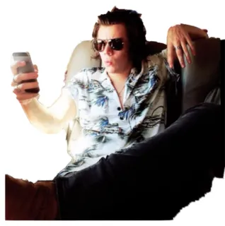 😎 Harry Styles singer, celebrity, Harry Styles, pop star, music, person telegram sticker
