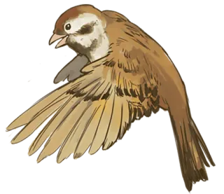 🐤 птица, воробей, летящий, животное, природа whatsapp sticker