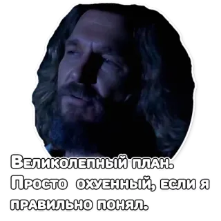 😂 Великолепный план. Просто охуенный, если я правильно понял. telegram sticker