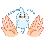 🙌 птица, руки, милый, стикер telegram sticker