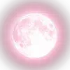 🌕