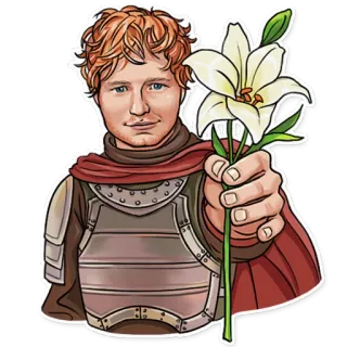 💐 retrato, hombre, flor, armadura telegram sticker
