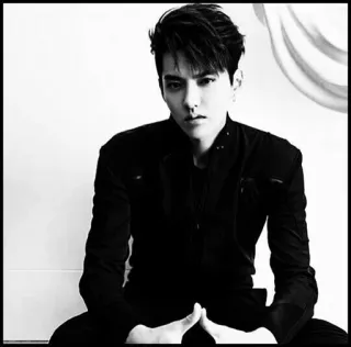 ➿ Kris Wu celebrità, cantante, attore, kris wu, bianco e nero, ritratto telegram sticker